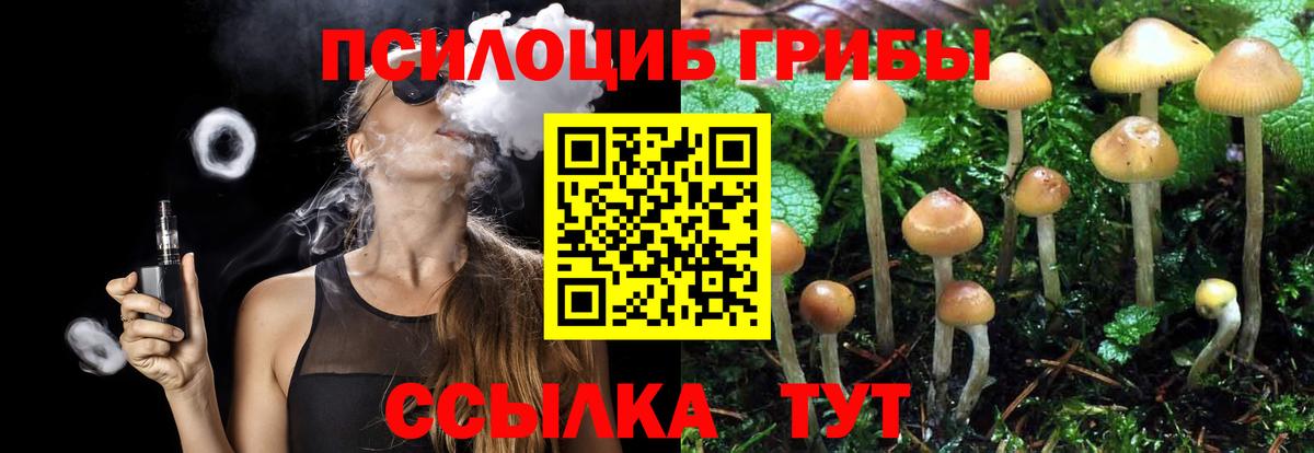 Галлюциногенные грибы мухоморы Нягань